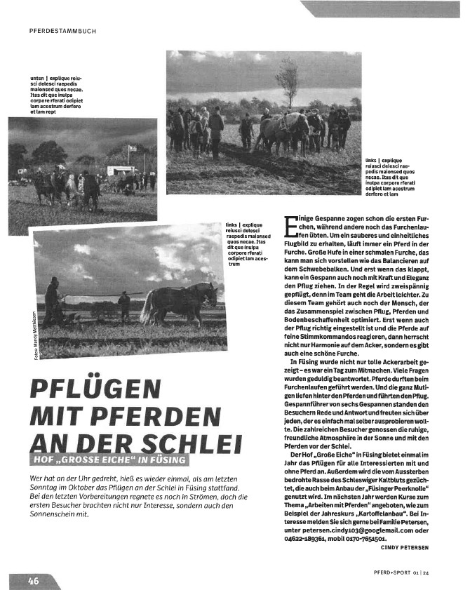 Pflügen mit Pferden Pferd und Sport 01.2024